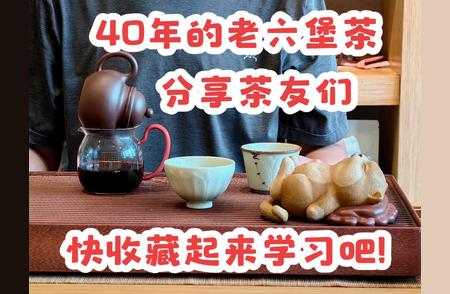 老茶分享：揭秘40年陈六堡茶的独特魅力