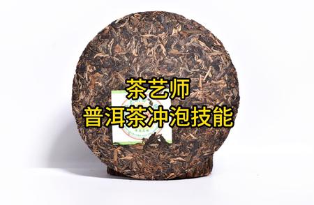 普洱茶冲泡技能大揭秘：如何泡出香浓滋味？