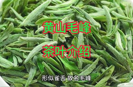 揭秘黄山毛峰：安徽名茶的骄傲！