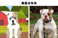 全球城市禁养犬种：揭秘10种危险的犬类