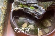 水族世界：探索水下生物的奥秘