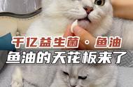 宠物鱼油界的新王者降临！#萌宠好物#鱼油#猫用品