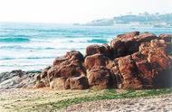海滨红礁石与崂山绿石：新的海岸带保护重点