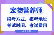 2023年宠物营养师报考全攻略：地址、方式、时间、费用一网打尽