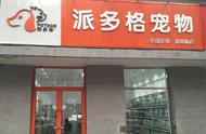 全面解析：开宠物店加盟所需资质条件