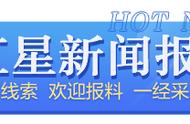 为何停止放生巴西龟？了解法律与生态保护