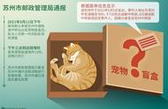 揭秘宠物盲盒：低价猫狗背后的真相