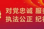 全市养犬登记点大揭秘：快速了解登记流程与地点