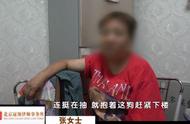 北京小区神秘狗死亡事件揭秘