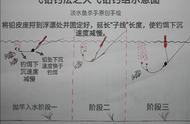 飞铅钓法：草鱼收割机的秘密武器