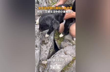 女生徒步途中的暖心瞬间：遇见小羊的求救与救援