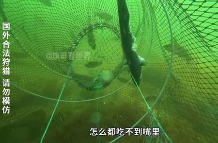 海洋探险：专业海钓船钓技巧大解析