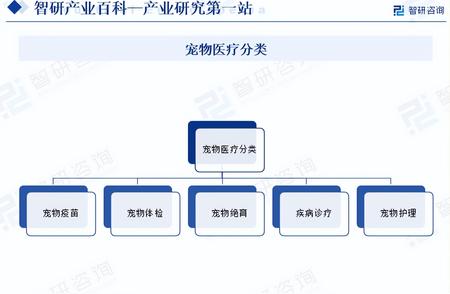 中国宠物医疗行业全景解析：市场需求规模预测报告出炉