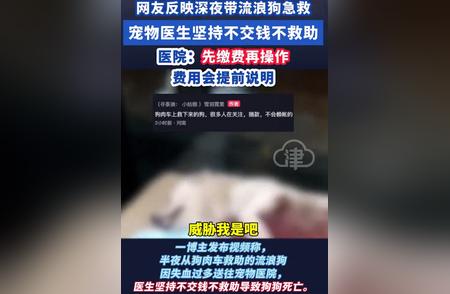 博主挺身而出：流浪狗急救之路遭遇网暴挑战！