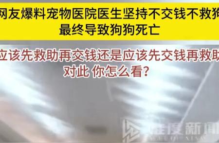 道德绑架事件曝光：宠物医生拒绝救治未付费狗狗，导致惨剧发生！