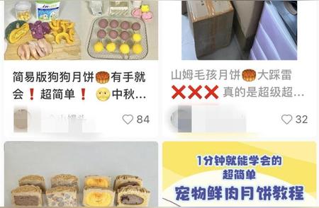 宠物蛋糕与月饼成新宠：热门潮流背后的故事