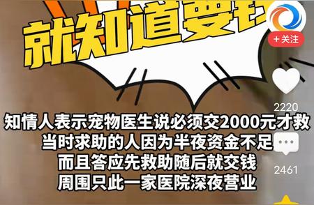 宠物医院救助流浪狗遭遇尴尬：女子无力支付引发争议