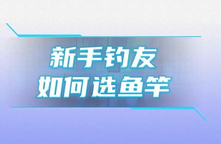 新手钓友指南：如何选择最适合的鱼竿