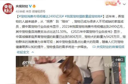 揭秘中国宠物市场繁荣背后的惊人数据