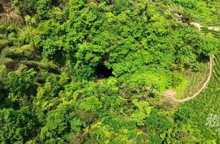 驴友探险富阳仙人洞遭遇险境，救援人员英勇出击