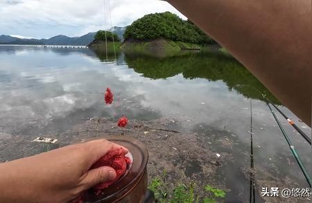 夏季钓鱼饵料秘籍大揭秘！