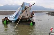 海豚历险记：浙江滩涂的生死营救之旅