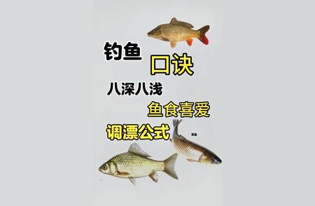 钓鱼达人必备：解密“八深八浅”钓鱼口诀