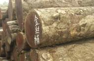 金丝楠木的价值：为何一根破烂木头能卖到2000万？