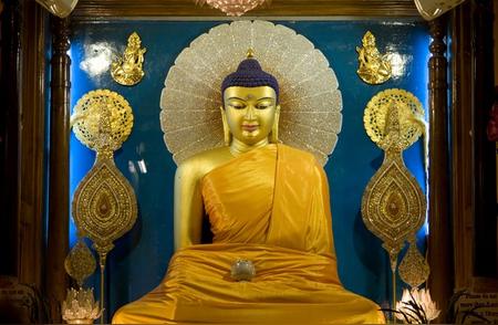 佛陀的觉悟之旅：菩提树下的顿悟