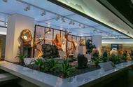 丝路天宝：中国最大的奇石展览馆