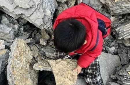 临沂五岁男孩的登山之旅：意外发现古生物化石