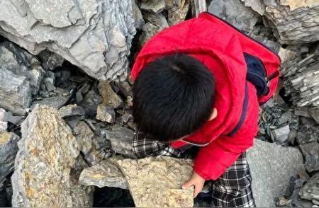山东5岁男孩意外发现5亿年前古生物化石，引发热议！
