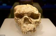 化石揭示人类消失13万年的真相？揭秘误传观点的背后...