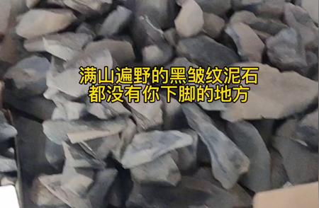 哈密黑皱纹泥石：吹尽黄沙，揭示真我