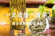 黄茶全解析：一篇文章带你深入了解