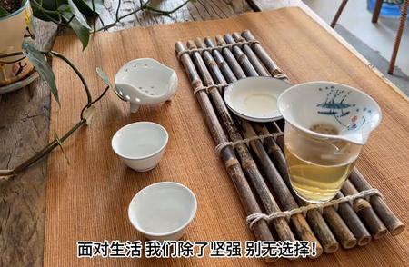 2024年春茶新品：冰岛地界老寨大树春茶现货供应