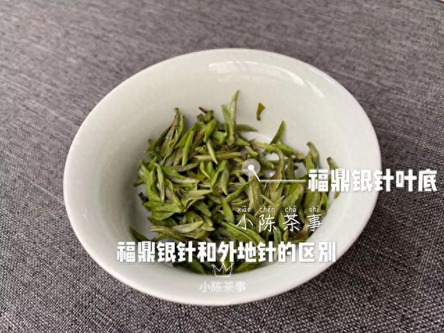 图文解读，五大角度，教你分辨外省白毫银针和福鼎白毫银针区别！