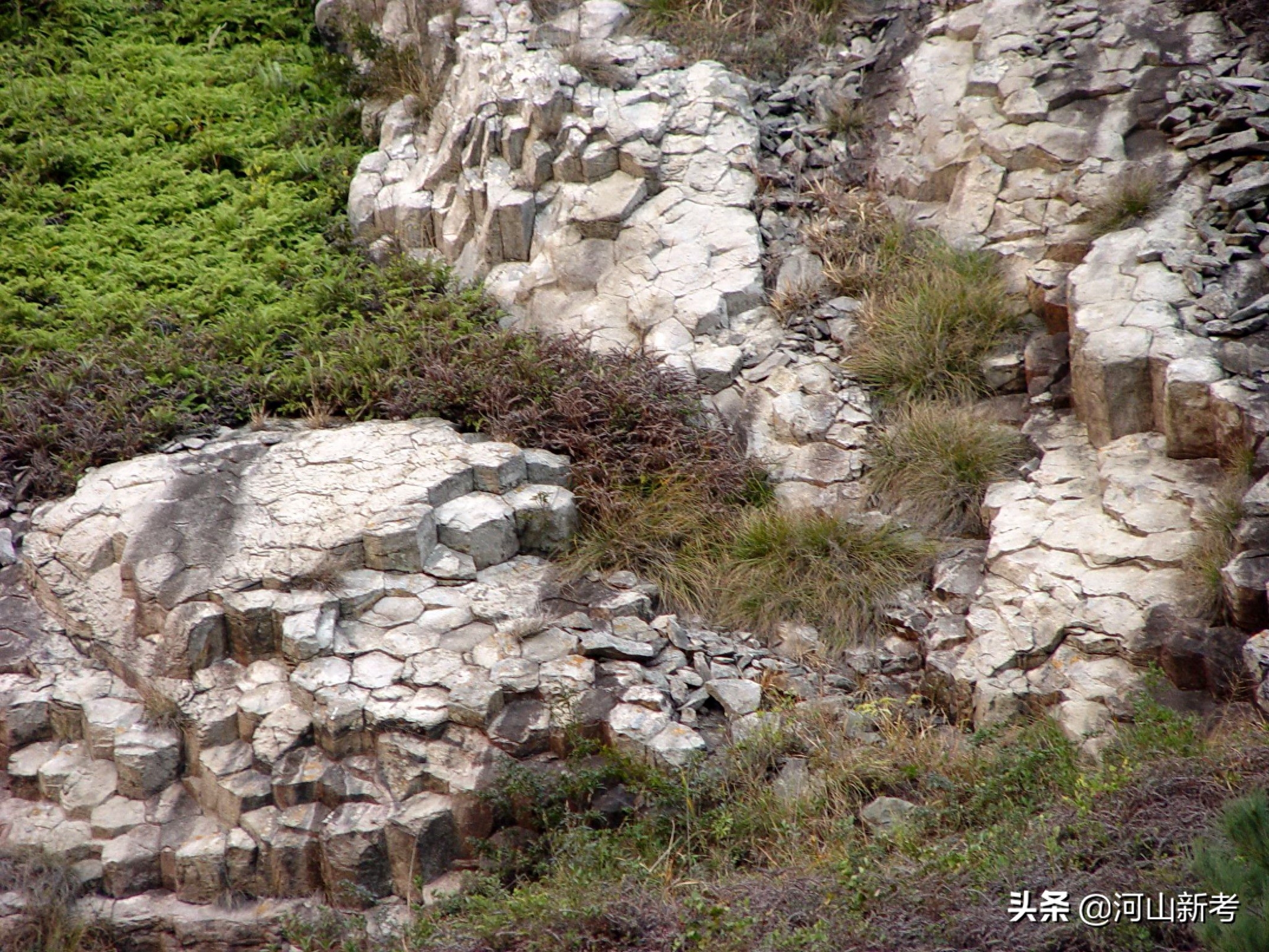 浙江临海，海边的珊瑚石真实探索税晓洁摄于2003年