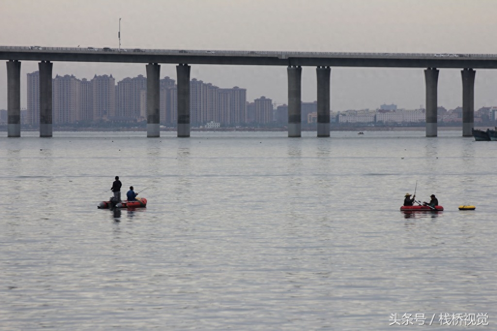 两男子胶州湾出海8小时钓得30多斤海鲈鱼光鱼章鱼，钓鱼苦钓鱼乐